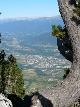 Arrivée sur la crête après la sortie du sangle. Vue sur Pontcharra à travers les pins.