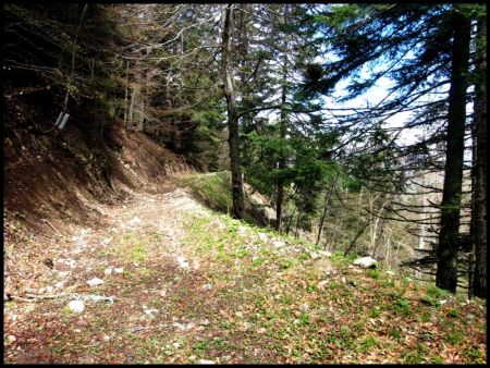 Le chemin à prendre vu de la Fontaine de Maraluche.