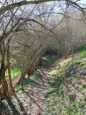 La dernière ligne droite avant le parking