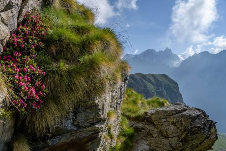 Dôme et Aiguille de Tsan