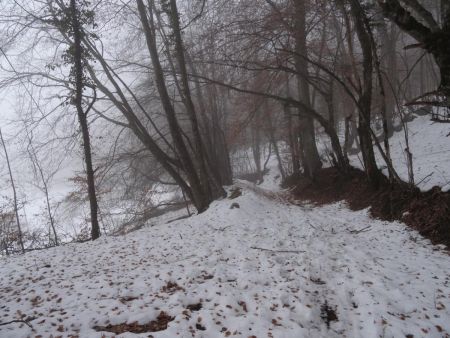 Sous le Col de Tamié