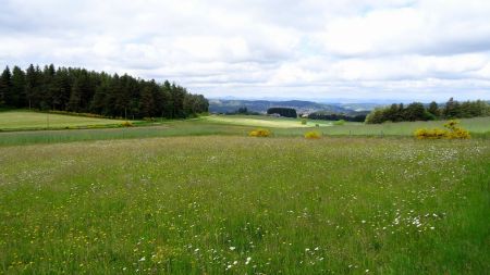 Vers le village de Dunières.