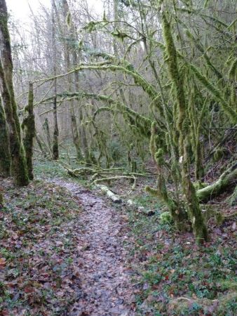 Sentier le long de la Leysse