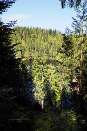 Sur le sentier descendant vers le Glaswaldsee, après le panneau «See Ebene».