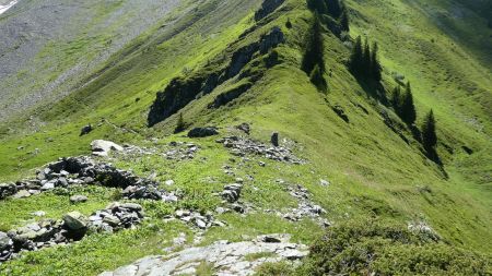 Col de Tourche Vernay