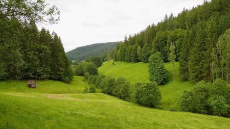 Descente du Reichenbachtal.