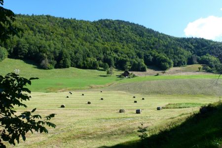 Col de la Forclaz (871 m)