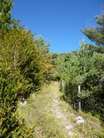 Début du sentier.