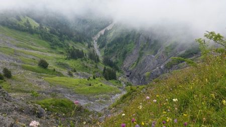 Versant Samoëns, ça descend vite