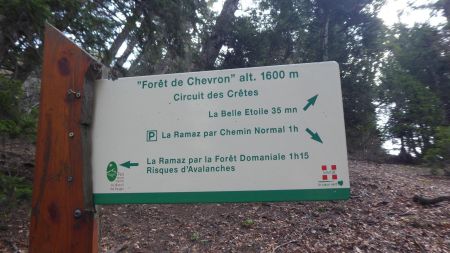 Retour par la forêt domaniale 