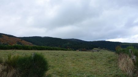 Plateau des Jarlées.