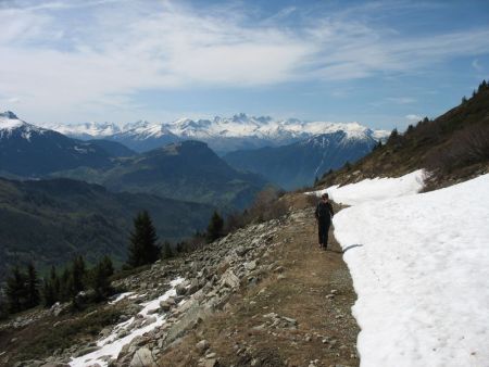 La piste pastorale de montée