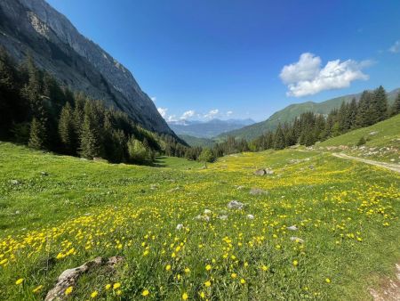 Vue sur la vallée