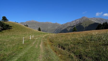 Sur le plateau d’alpage.