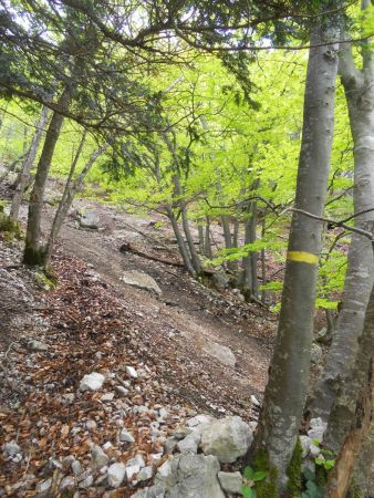 Ravine à traverser