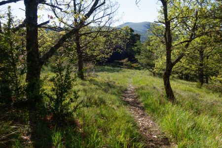 36- En descendant vers le Col de Lachaud