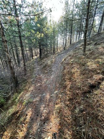 À cette bifurcation prendre le sentier de droite.