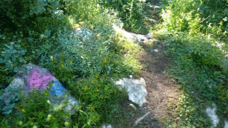 Je quitte le GR.91, face au Monument du 45ème Parallèle, pour suivre le sentier des Ravières.