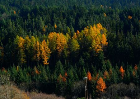 La Nature : quel peintre !