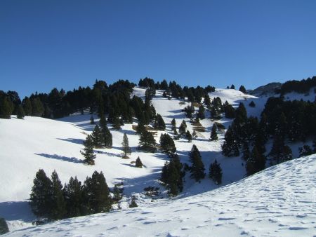 Arrivée sur le plateau 