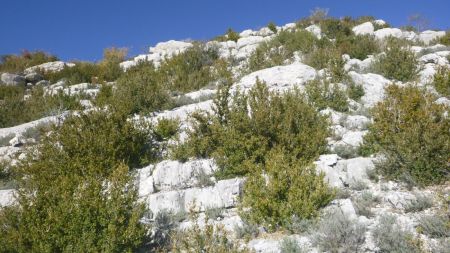 Montée finale en face sud