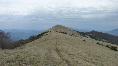 Regard en arrière, Serre Delègue