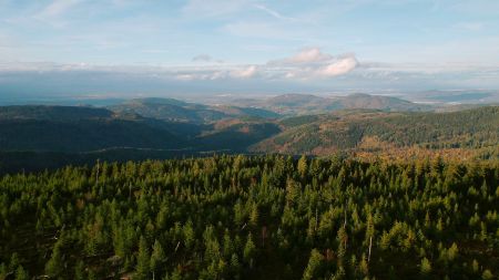 Du haut de la Friedrichsturm, vue plein nord.