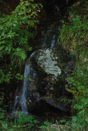 Belle petite cascade sur le chemin du Herzogenhorn