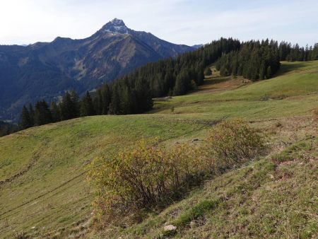 Départ dans de beaux alpages d’automne.