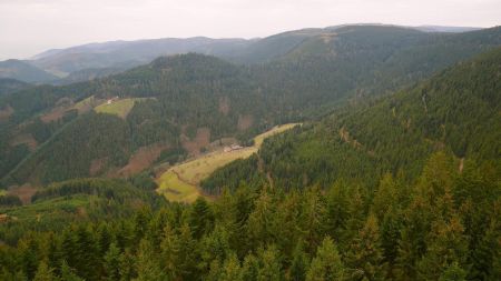 Vue sur le Renchtal, du sommet de la tour.