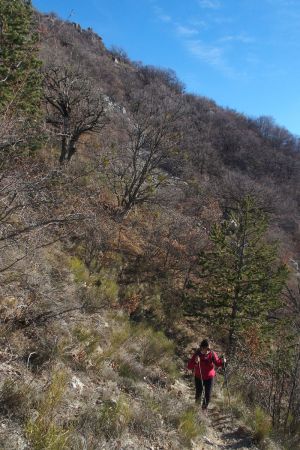 Montée vers la Montagne de Chanteduc