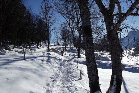 Montée vers Le Chaumeil