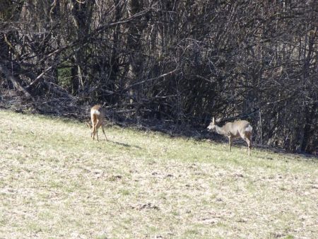 Rencontre