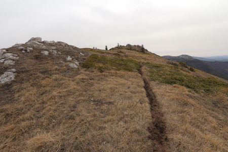 Sur la crête de la Sarcéna.