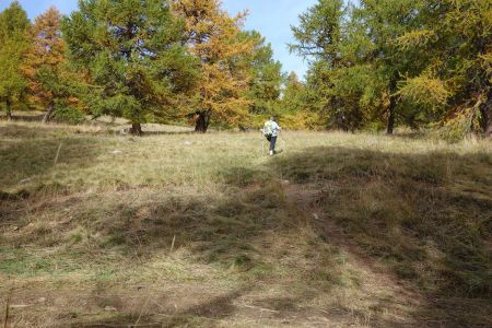 Montée dans les pâturages sur le petit sentier