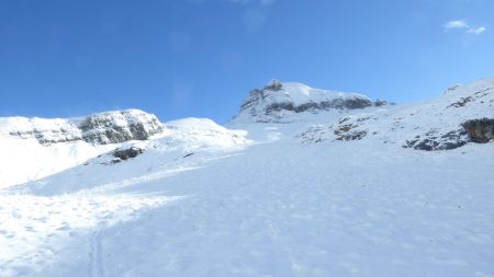 Vue arrière vers la tête Pelouse 