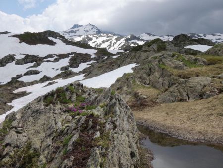 Ici, ce n’est pas encore tout à fait l’été...