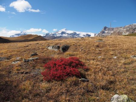 Couleurs d’automne.