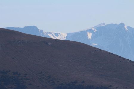 Plateau de Bure.