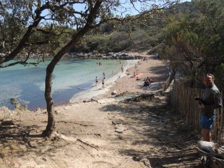 Les herbiers de Posidonie sont en cette période volontairement laissés sur place. Ils protègent la plage de l’érosion du aux tempêtes hivernales.