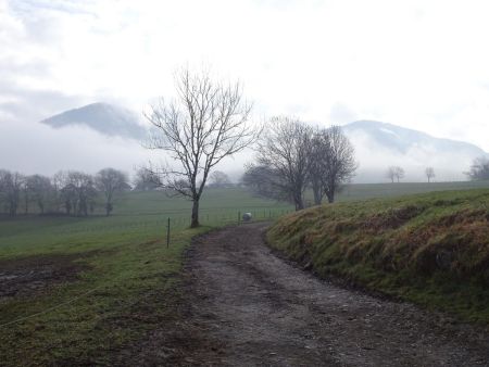 Au loin, la Galoppaz et le Pic de la Sauge