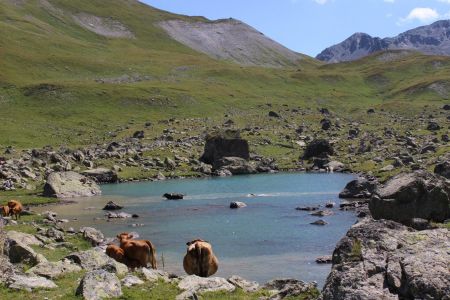 Lac de l’Etoile