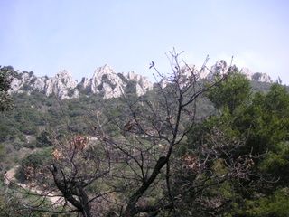 Dentelles Sarrasines