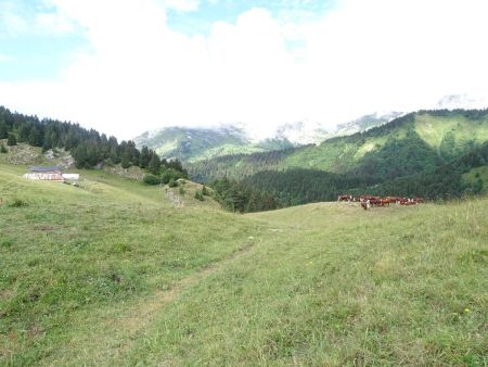 Col du Haut du Four