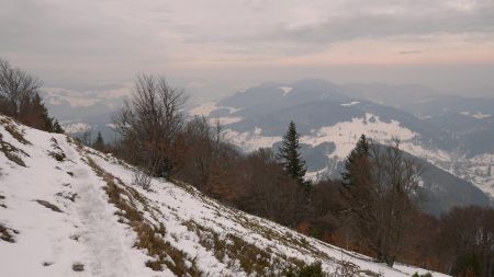 Début de descente du versant sud du Belchen.