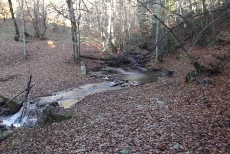 Traversée de ruisseau