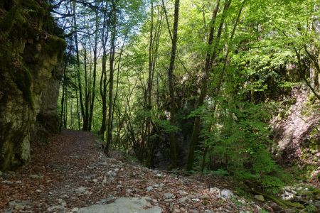 32- Après avoir traversé le torrent qui descend de la Grand-Combe