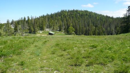 Baraque Forestière de Pré Râteau.