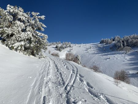 Début du sentier.