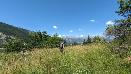 La petite prairie en arrivant aux ruines